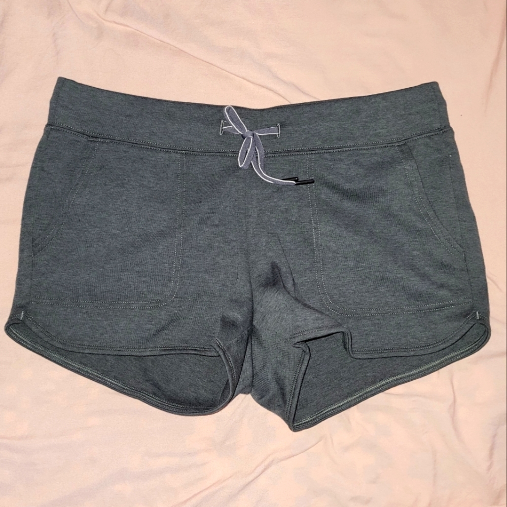 The north face slacker shorts, women's large. NWT.
